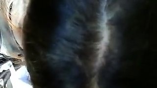 Czech amateur bangs outdoor pov