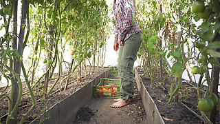 Squashing Tomatoes Barefoot In The Dirt ASMR