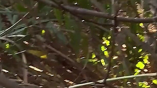 Sucking on the Beach