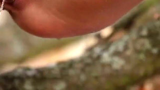 Piss in Tree