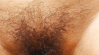 THE INTIMATE LIFE OF A HAIRY HOUSEWIFE