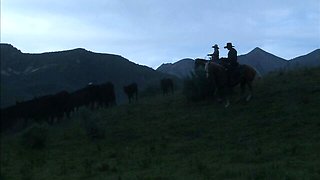 Marvelous Brooke and Joey's tattoos video