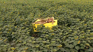 Erotic Palette 02: Yellow Anal Heat