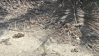 You Won’t Believe What I Did Outside Today! (part 1 of 2)