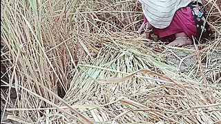 My Wife Riya Broke the Seal in the Paddy Field for the First Time