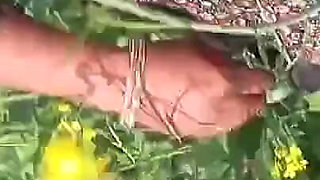 Village Desi Bhabhi Fucked in Mustard Field in Doggy Style. Outdoor Sex Desi Bhabhi with Dewar