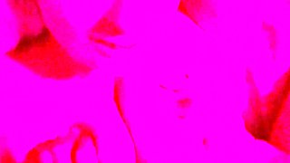 Amateur blondes pov blowjob and hardcore fun with lucky dude