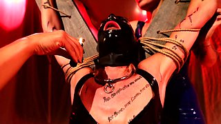 New pet Amber Shock gets tied up and anal fucked by Ciren