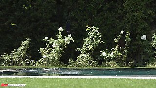 Sophia Locke and Max Fills's pawg trailer by New Sensations