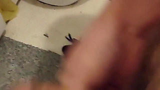 Cumming in the Bathroom