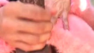 Kimla Reina Masturbates In Sweater