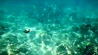 Blowjob POV blowjob cumshot facial brunette pov