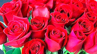 Jaw-dropping mature hotwife in saree has a wild adventure with her husband